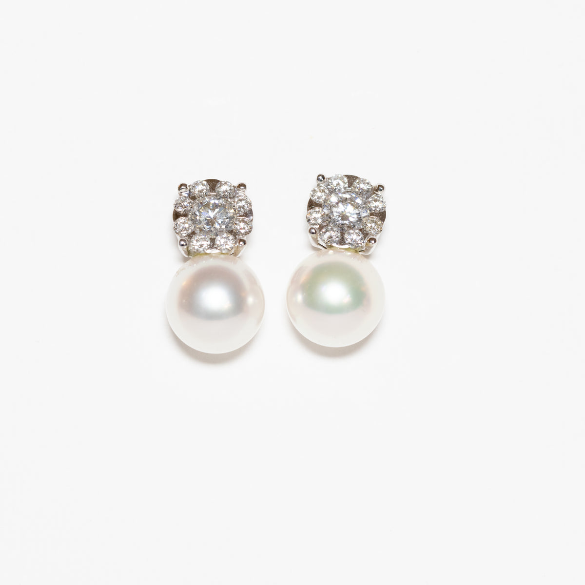 18kt white gold earrings with akoya pearl in pavé light point