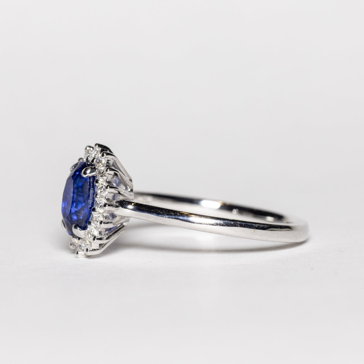 Anello in Oro Bianco 18kt con Zaffiro e diamanti rotondo brillanti