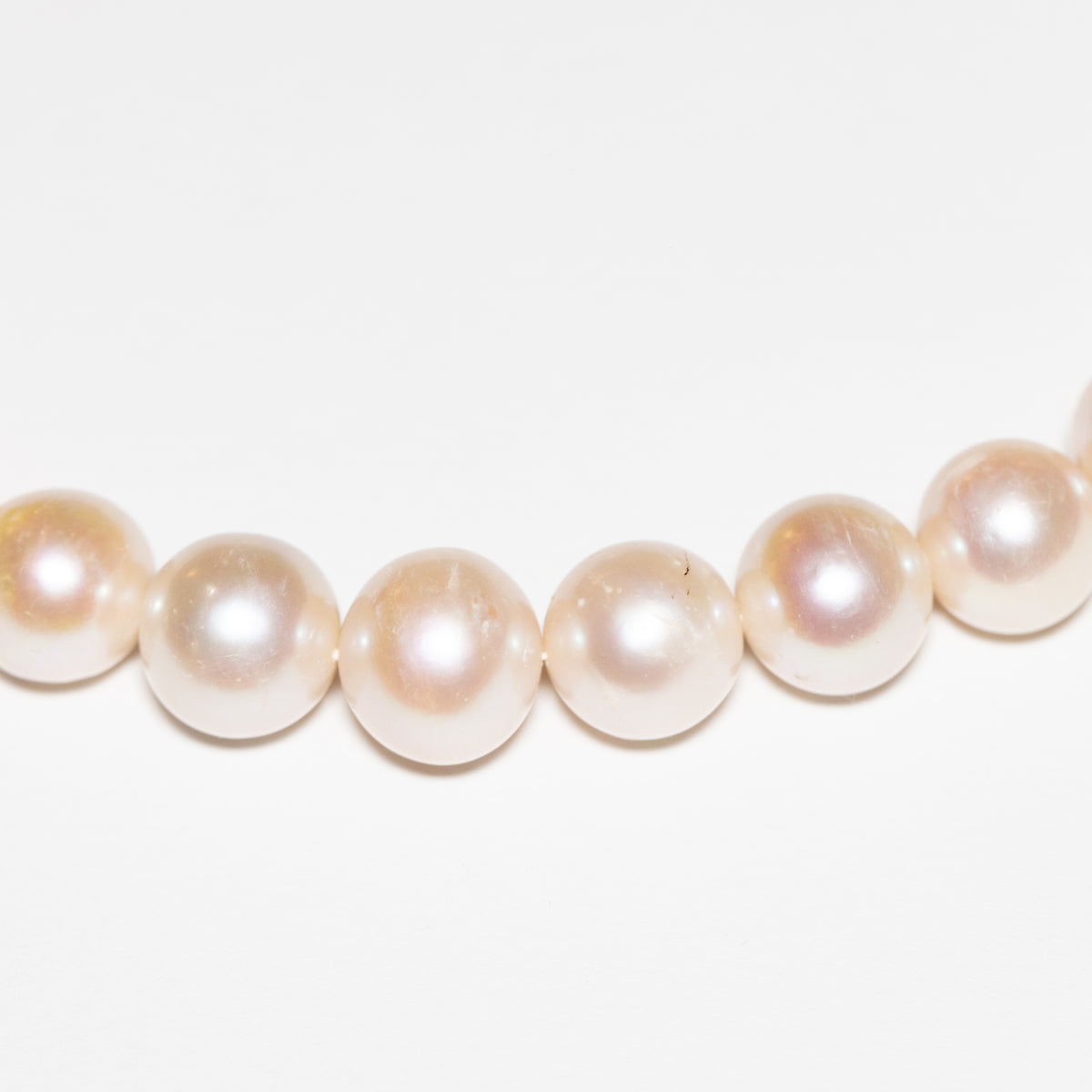 Australian Pearl Necklace with 18KT White Gold Susta